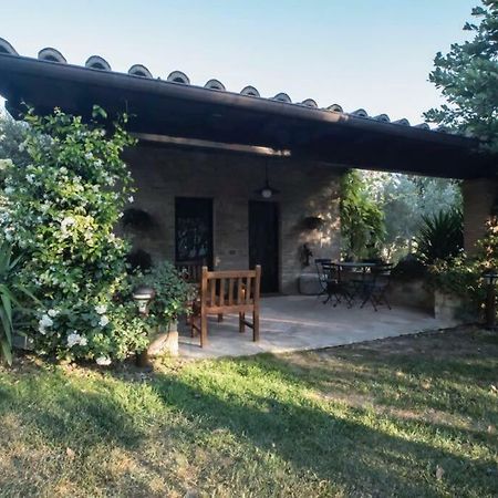 Dimora Borgogni: Country House Perugia Zewnętrze zdjęcie